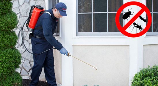 İyidere Gümüşkurt İlaçlama böcek ilaçlama ve haşere kontrolü — ilaclama-tr.com